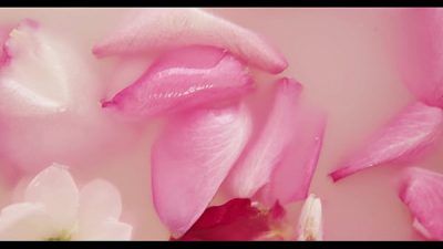 Aura Sin wanted to play ping-pong but got thick black dick up her ass FLX003P01