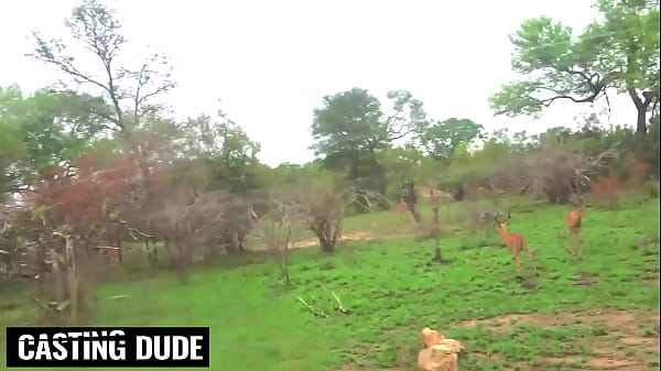 Big Booty Ebony Babe Bent Over & Pounded POV Doggystyle By BWC American