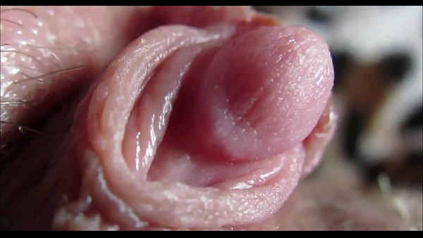 Big clit orgasm closeup