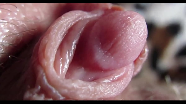 big clit orgasm closeup