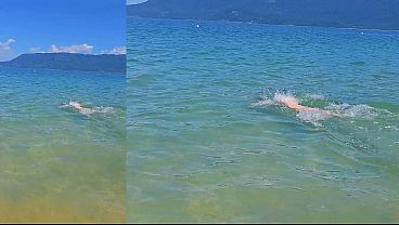 Follo a una turista Latina en Brasil