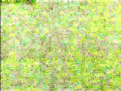 Ball Busting Ma’Am