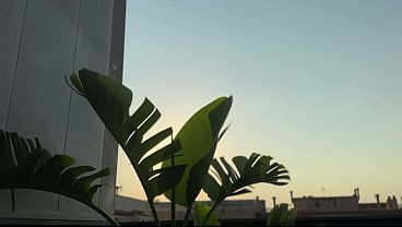 Frances Bentley’s sexy foot worship turns into passionate slow sex