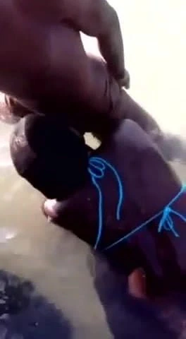 Haitian fucking on the beach