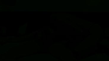 Invitation to ejaculation