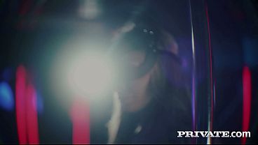 Micky Muffin, a wild cat roams