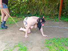 Pig Slut Training – MaryBitch