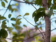 x1xC5FFE64C77318410E2