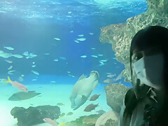 0005848_JAV_JapaneseAV_Censored_MGS_19min