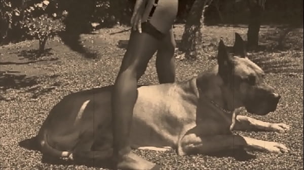 Dark Lantern Entertainment Presents ‘Vintage Petmania’