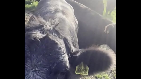 I am a country girl at heart! Would you have thought?  I find my peace in nature, soaking up the sun and embra…